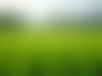 Top 5 Tips for Successful Rice Farming in India