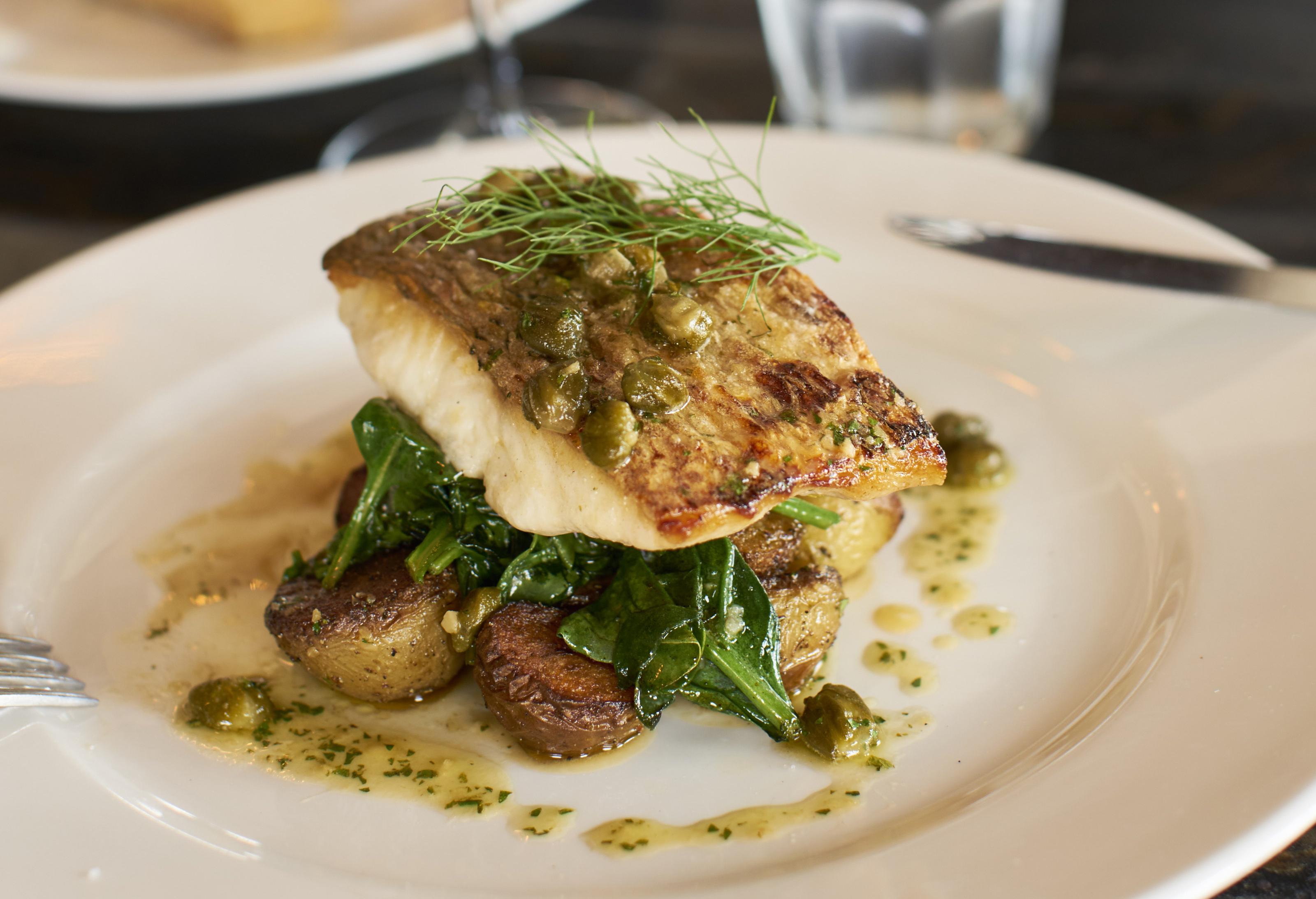 RESTAURANTES Oliva Restaurantes