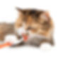 iStock-1357993895.jpg