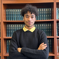 Dimitri DUCROT LOGMO_edited.png