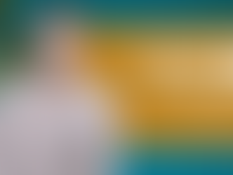 The Triathlon of Publishing: Will Parker Anderson on How to Write, Publish, and Market a Book