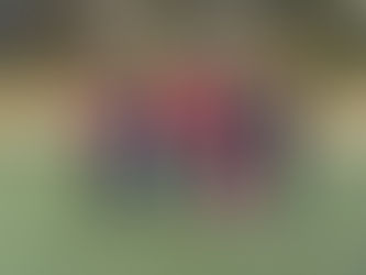 From Hurricane To Hope