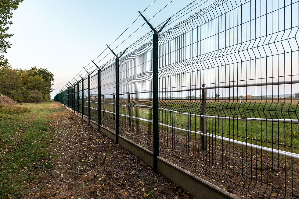 Chain link fences - Verjas Nuevo Milenio