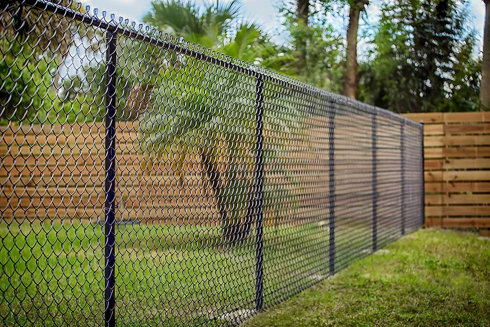 Razor wire - Verjas Nuevo Milenio