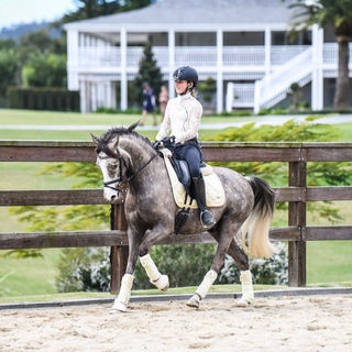 Sankey Saddles Australia