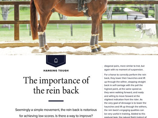 The importance of the rein back - Equest Hub Feb 2024
