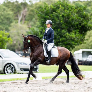 Sankey Saddles Australia