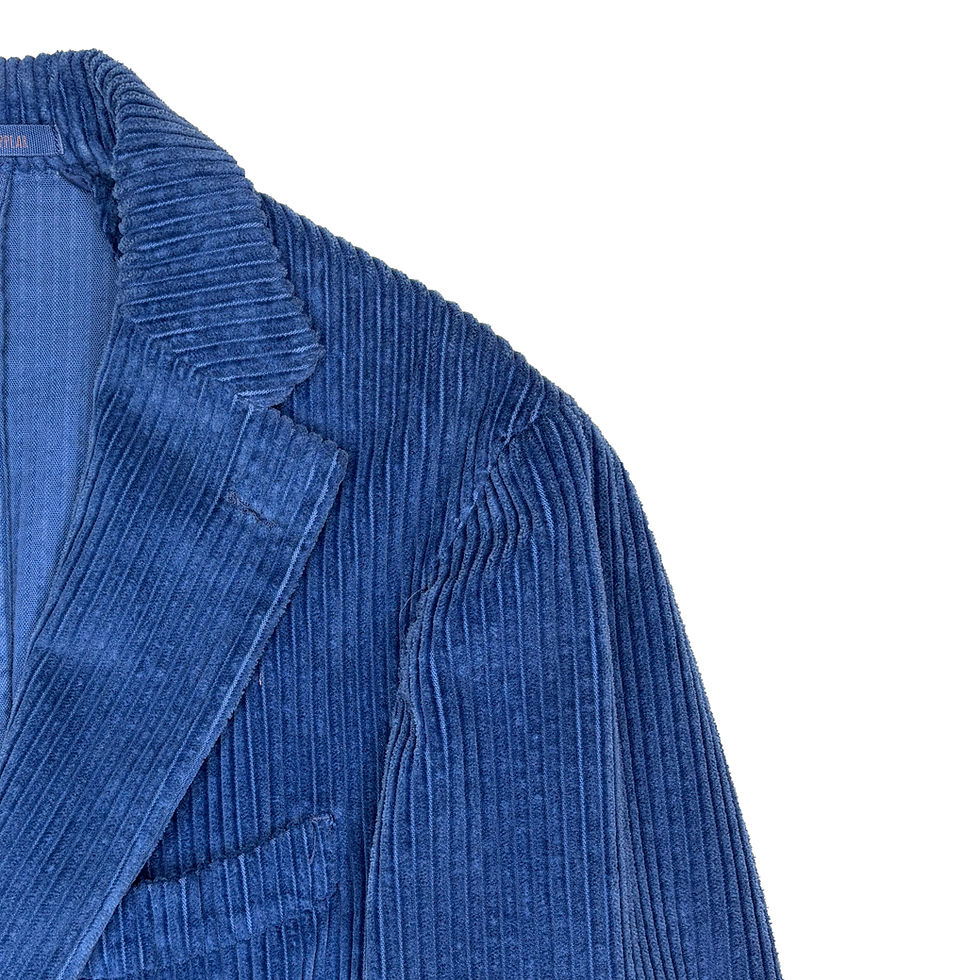 サムネイル： Veste en velours bleue
