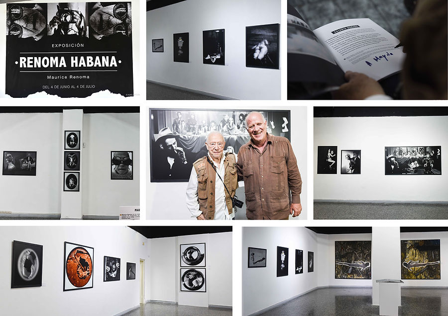 Renoma Habana • Galeria Habana