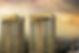 blank-state_800x600.jpg