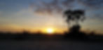 20191208_060641.jpg