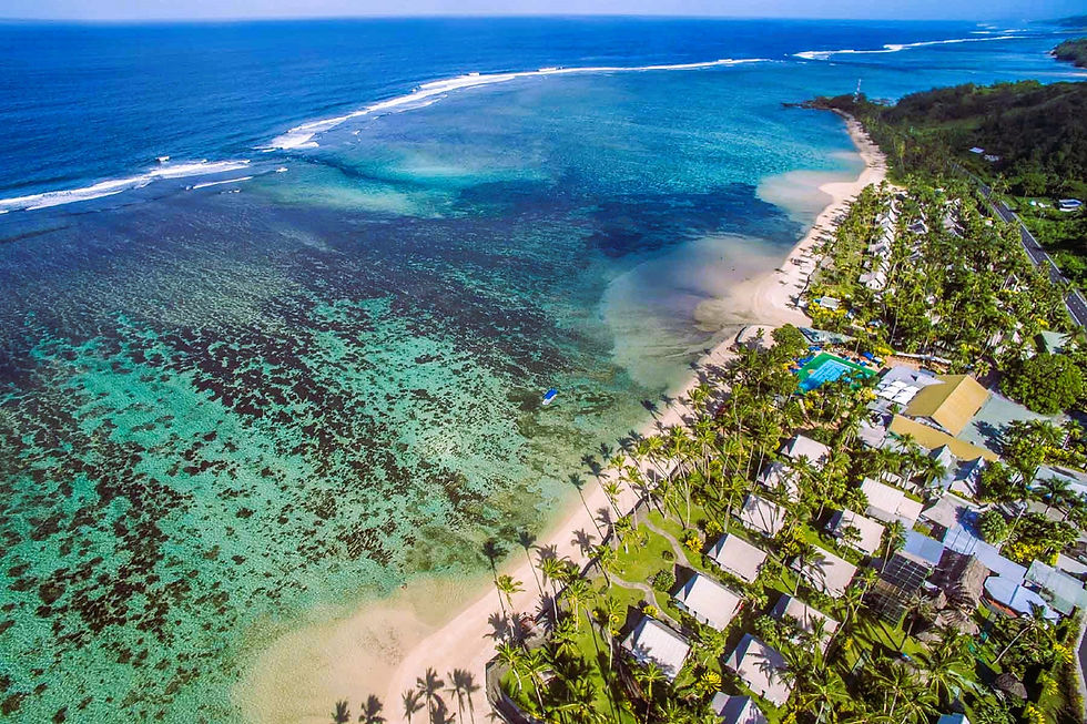 Eye-level view of a beautiful beach with turquoise waters and palm trees