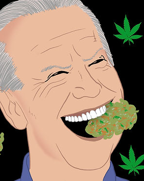 1564765212930-JOE_BIDEN_DISASTER_FOR_LEG