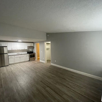Living Room with Kitchen View