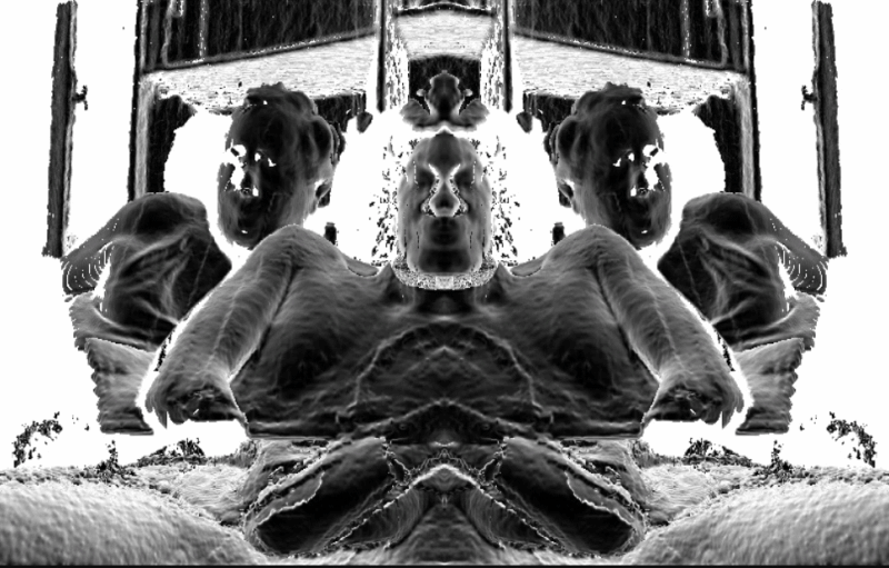 untitled, digital collage and animation, 2011-2013, variable dimensions