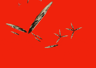 teschio rotazione e bambini rosso (1).gi