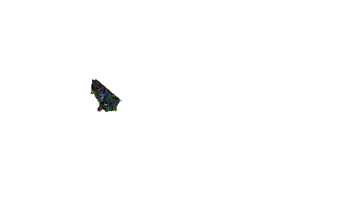 frammento pavimento.gif