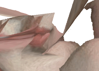 ezgif.com-reverse (5).gif