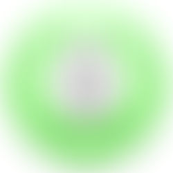January 26, 2026 #2