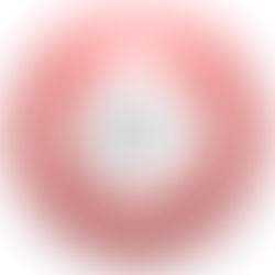 January 25, 2026 #2