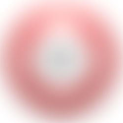 January 24, 2026 #2