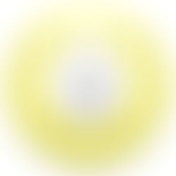 January 12, 2026 #1