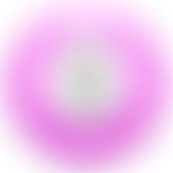 February 1, 2026 #2