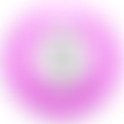 January 31, 2026 #2