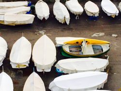 barcos