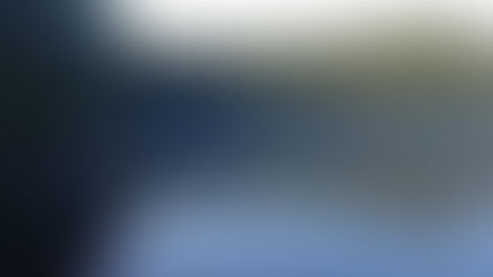 Experience Bearnstow