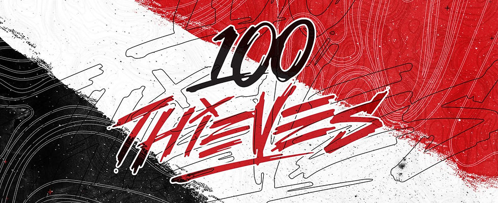 100 Thieves Merch (1).jpg