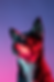 Design ohne Titel2.png