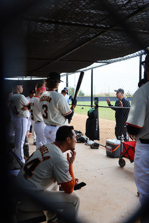 Baseball tournament 