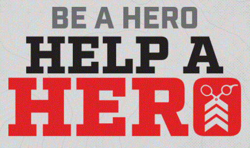 Help a Hero.GIF