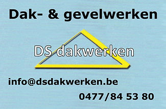 Logo D S dakwerken-DEF.jpg