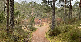 Stitjønna