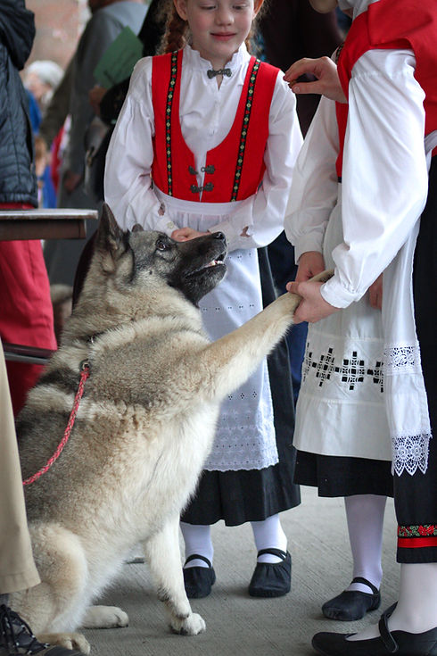 IMG_4387.JPG