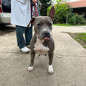 Image-empty-state_edited_edited_edited_e