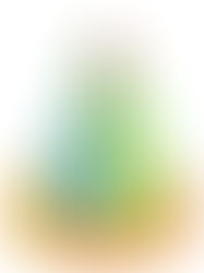 The Value of Social Capital