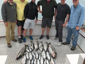 Mixed Bag Spectacular Action