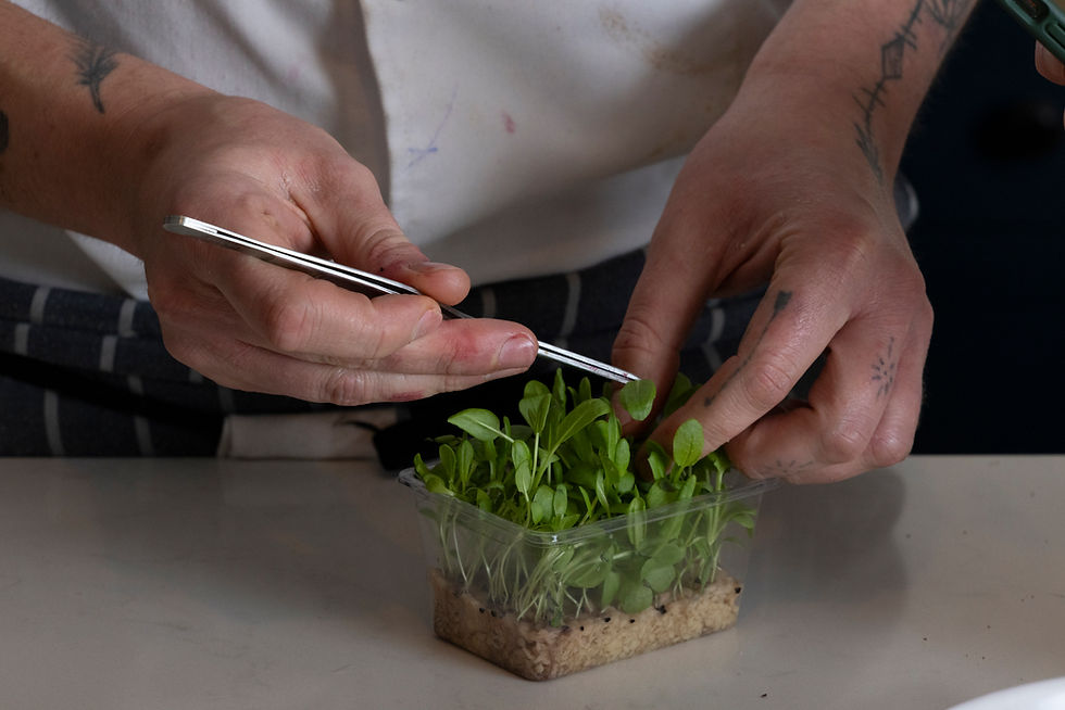 Micro Garnish