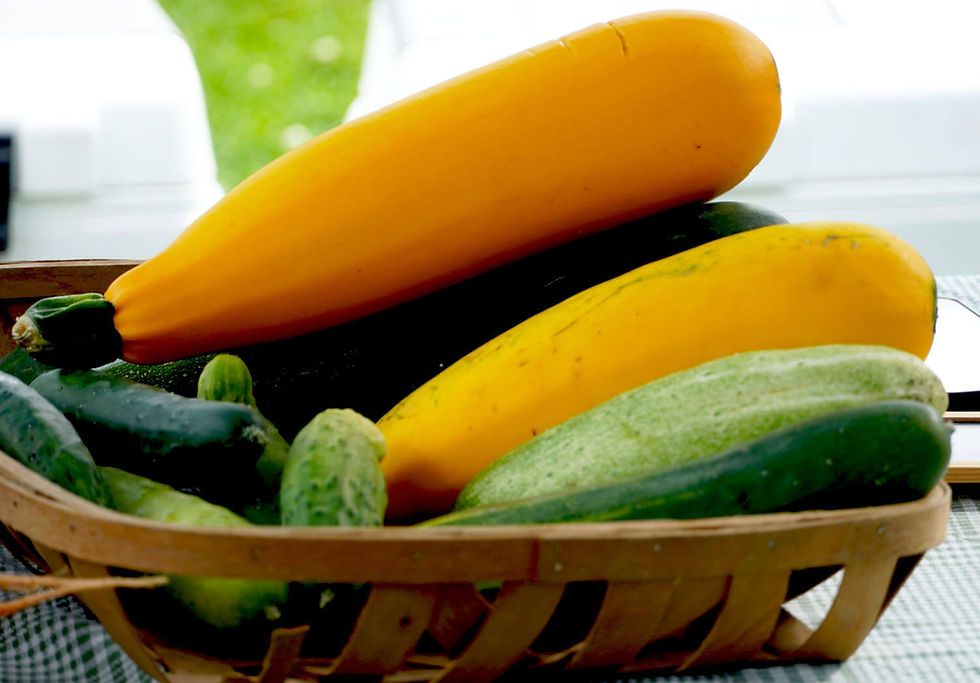 Photo by Bob Benenson