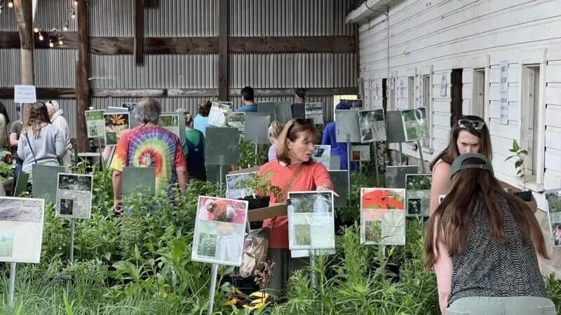 Liberty Prairie's May 10 Plant Sale/ Farm Festival Beckons You