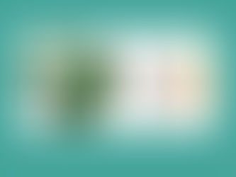 Urban Canopy & Collective Resource Combine Forces for Compost Pickup