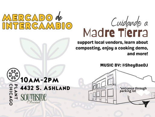 Plant Chicago April 11 Market Will Have Seedlings for You to Plant