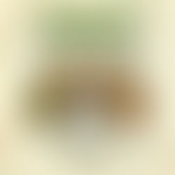 Wild Onion Market Ramps Up Events With Two in March