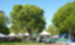 Green City Market, May 2, 2026. Photo by Bob Benenson