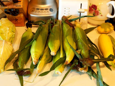 Corn Again: My Yearly Ritual With Three Sisters Garden Renewed