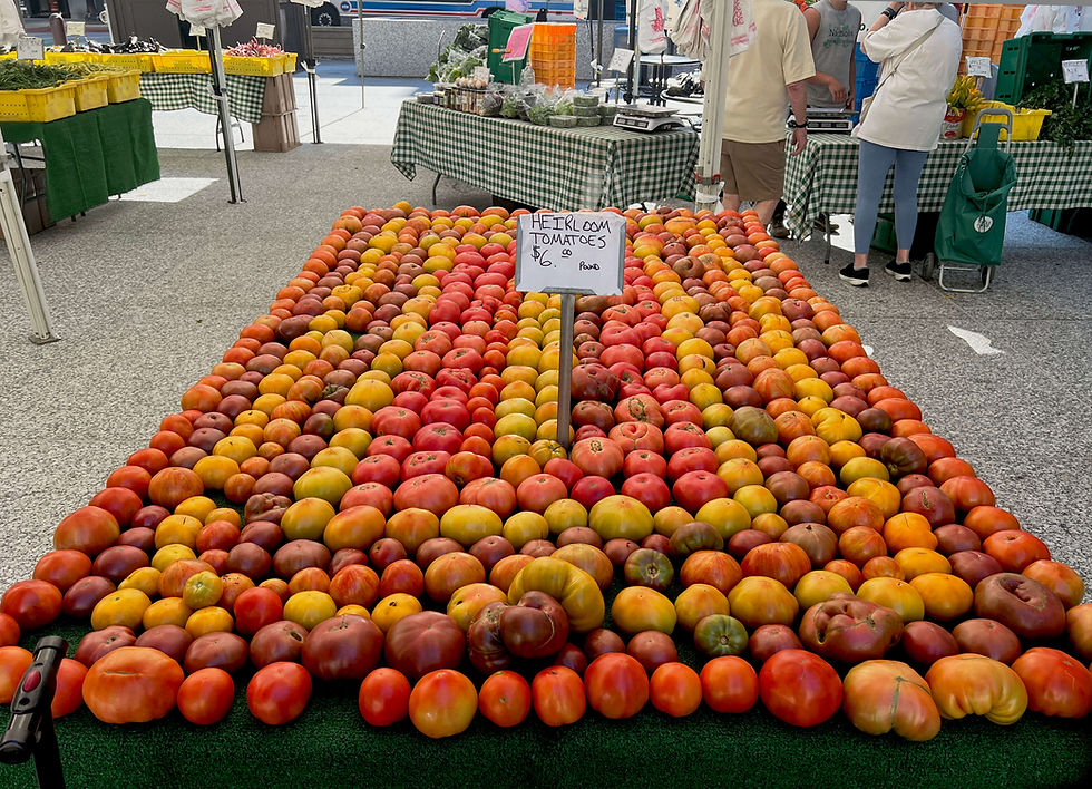 Field (Tomato) Days! Yet Another Reason to Use Our Market Tracker