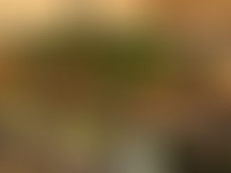 Winter Farmers Markets Fill the Gap Between Outdoor Growing Seasons